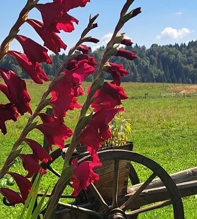 Nakel Pocitniska Hisa